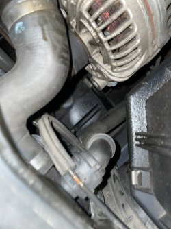 D0857813-6F57-47EF-A257-6ED83E22DB91.jpeg