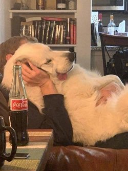 picdump_kw10_2022-099.jpg