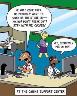 10Unbenannt - Kopie.JPG