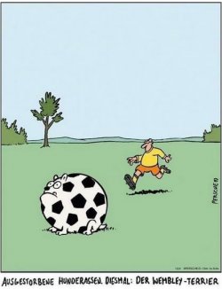 2Unbenannt - Kopie.JPG