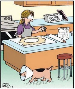 5Unbenannt - Kopie.JPG