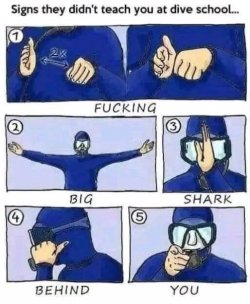 2Unbenannt - Kopie.JPG