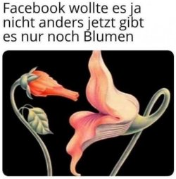 4Unbenannt - Kopie.JPG