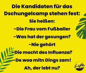 2Unbenannt - Kopie.JPG