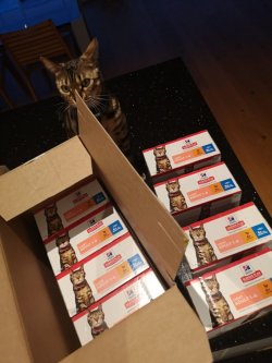online shopping.jpg