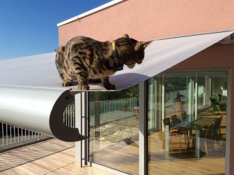 auf dem sonnenschutz.JPG