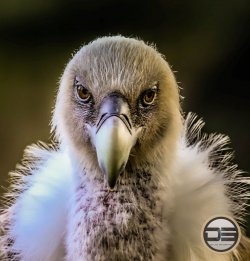 IMG_3076.jpg