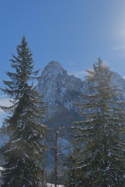 8501D5C3-F4BF-485A-87D0-05BABFB2D60F.jpeg