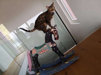 auf dem pferd.jpg