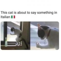 E0FB9C27-D1B7-4349-A840-680808310309.jpeg