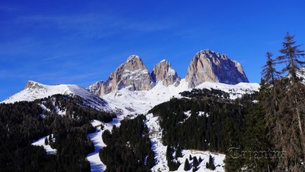 SnowShowTour 2 (222).JPG