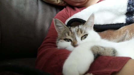 IMG-20220125-WA0002.jpg