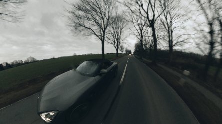 IMG_4387.jpeg