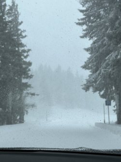 7B24CEEB-4BBD-45E7-8C7D-4552D243357C.jpeg