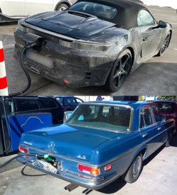 boxter1.jpg