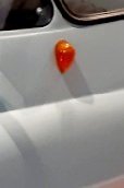 20191027_162123_crop_0.jpg