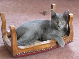 Casimir08.jpg