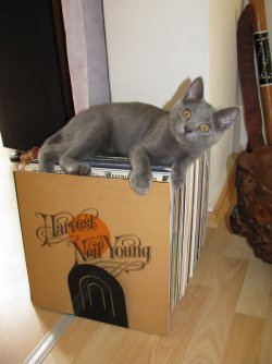 Casimir11.jpg