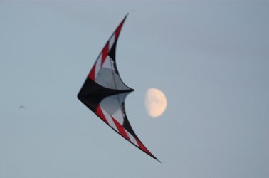 IMG_0228.jpg