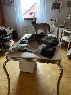 ED5898EC-BE1C-4DA8-9BF8-0918101E1ECA.jpeg