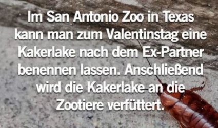 2Unbenannt - Kopie.JPG