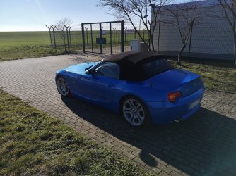 frühling_2.jpg
