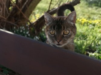 frühling_7.jpg