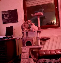 58C1B2C8-AE0B-4DE2-A699-1E60476C7B27.jpeg