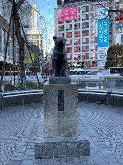 B7A596BC-2222-4415-B850-D290B95DF901.jpeg