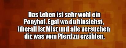 5Unbenannt - Kopie.JPG