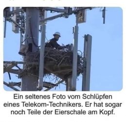 A7B88F62-F15B-4A5B-8942-B9CFEE80C74F.jpeg