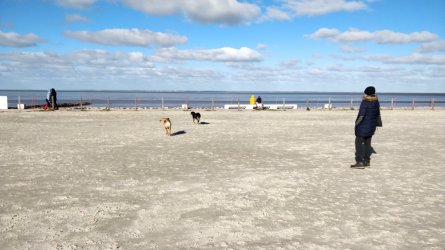 Norddeich_Hundeareal.jpg