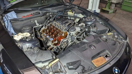 1678346413526.jpg