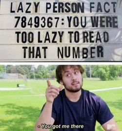 LFN.jpg