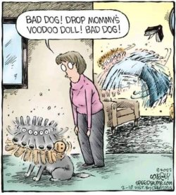voodoo-doll-has-its-consequences-v0-k5p330dq38191.jpg