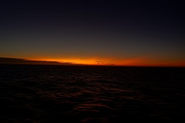 DSC00470.JPG