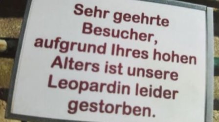 2Unbenannt - Kopie.JPG