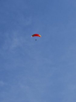 20230317_150532.jpg