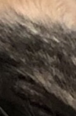 1679385004563.jpeg