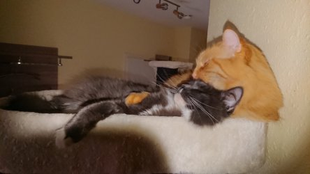 DSC_1802.JPG