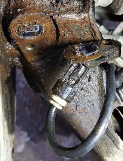 20230316_180545_klein.jpg 20230316_180545_klein.jpg