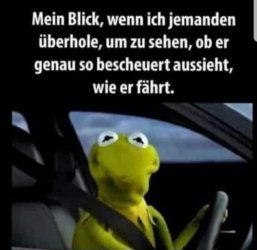 8572a3db-2e50-4d69-86fd-dc1c054d7456.jpeg