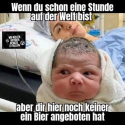 FB_IMG_1680261748955.jpg