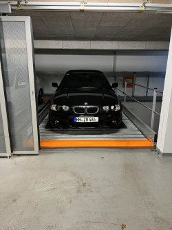 IMG_3117.jpeg