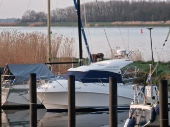 IMG-20230405-WA0008.jpg IMG-20230405-WA0008.jpg