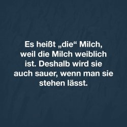 FB_IMG_1681038751557.jpg
