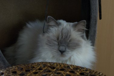 DSC_0040.jpg