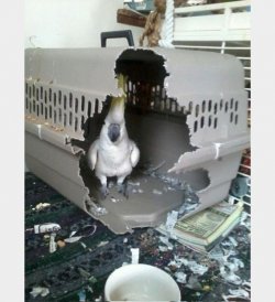 IMG_1889.jpeg