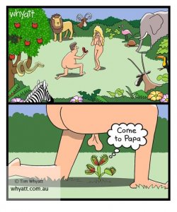 oink (1).jpg