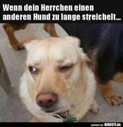 8dc5e724cd10b8d366ce890dde5dd0d7.jpg